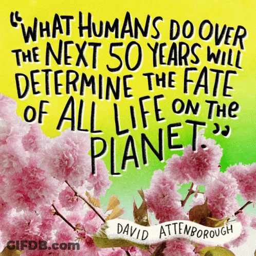 David Attenborough Quote Surrounded By Flowers GIF