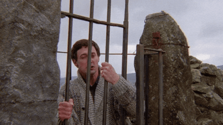 David Dukes Desperate Let Me In Meme GIF