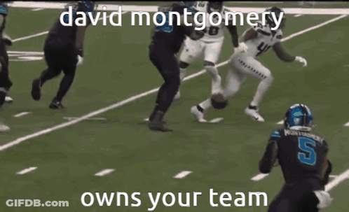 David Montgomery Owns Your Team Football Player On Field GIF
