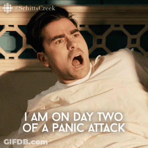 David Rose Feeling Overwhelmed GIF