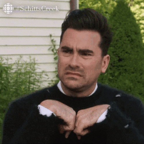 David Rose GIF