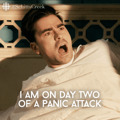 David Rose Panicking Day Two GIF