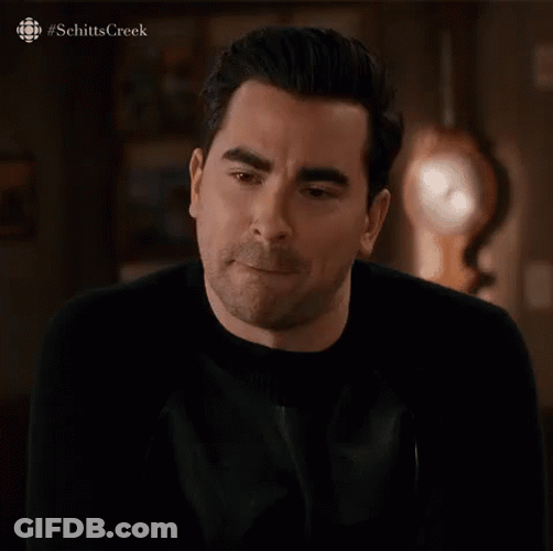 David Rose That's Correct GIF