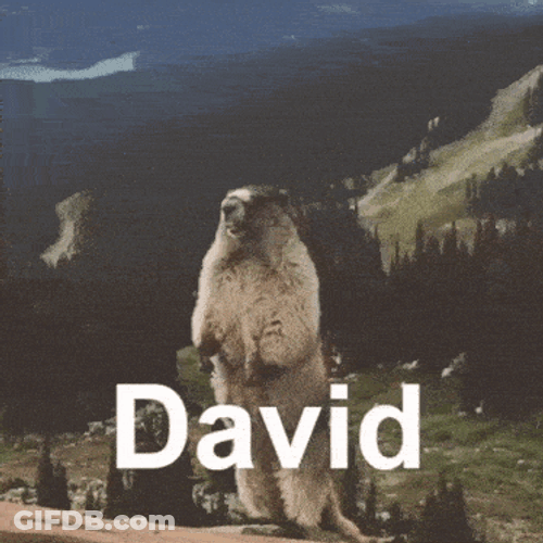 David Scream GIF