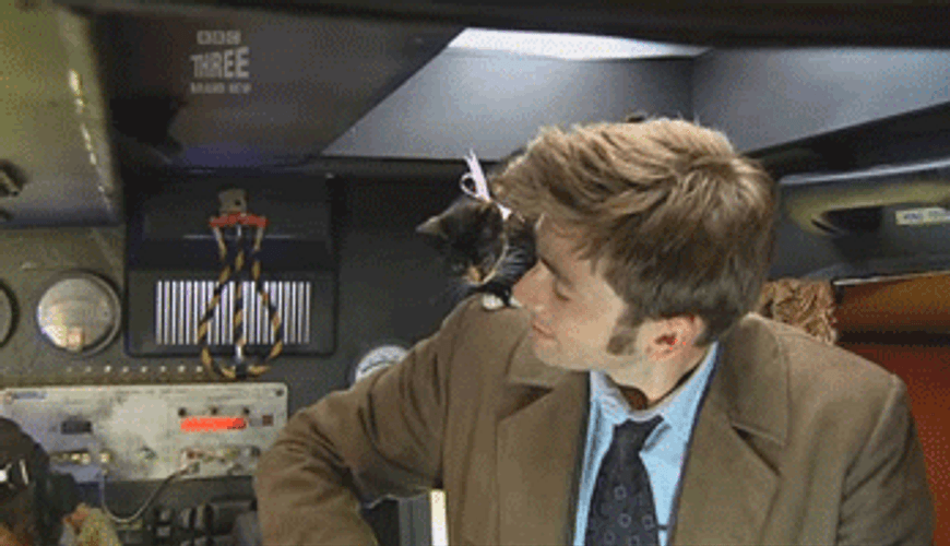 David Tennant Sad Cat On His Shoulder GIF