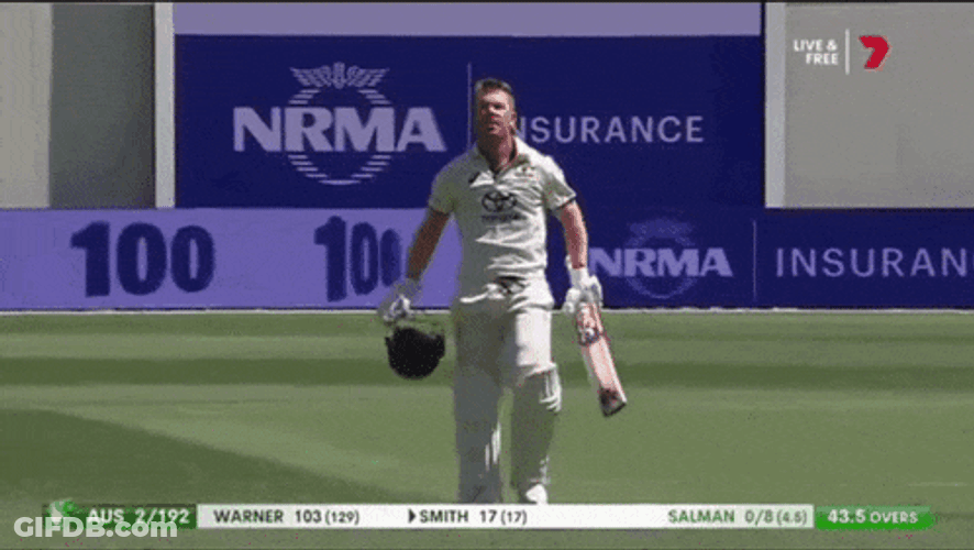 David Warner 100 Celebration GIF
