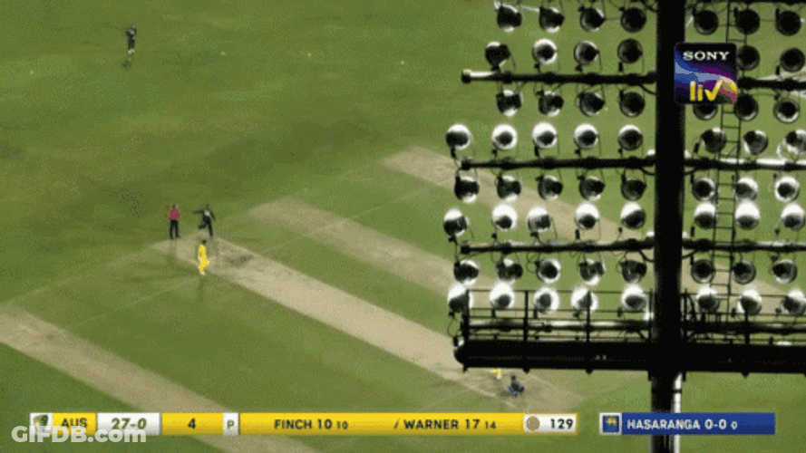 David Warner Cricket Bat Hits GIF
