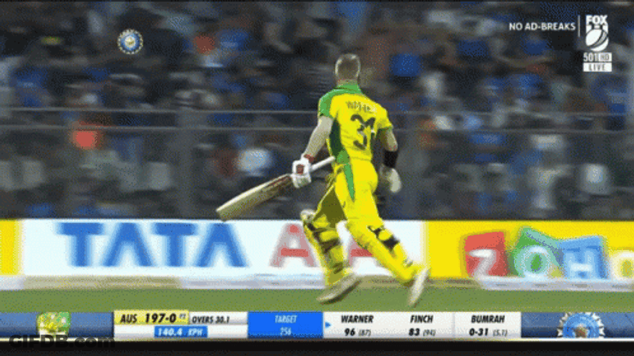 David Warner Cricket Celebraton GIF