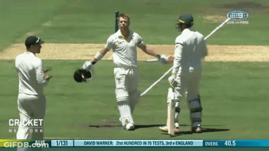 David Warner Cricket Happy Celebrate GIF