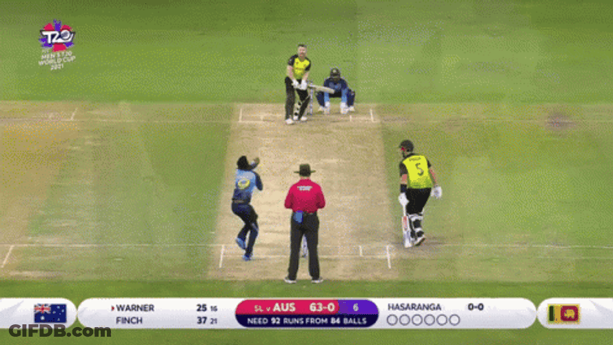 David Warner Cricket Happy Heartfelt GIF