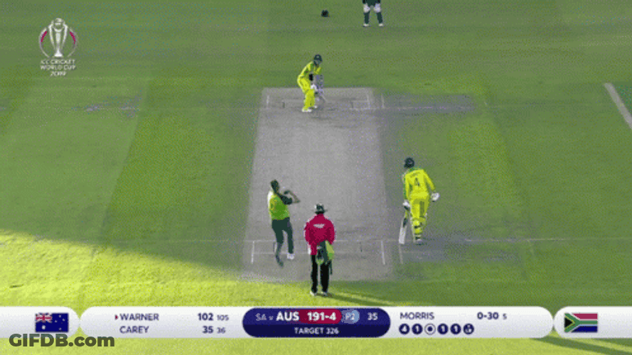 David Warner Cricket Legend Swing GIF
