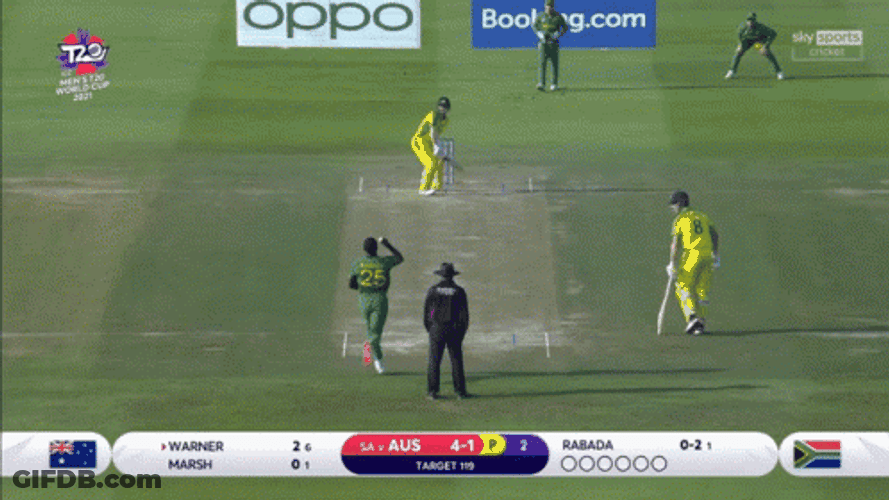 David Warner Cricket Long Shot GIF