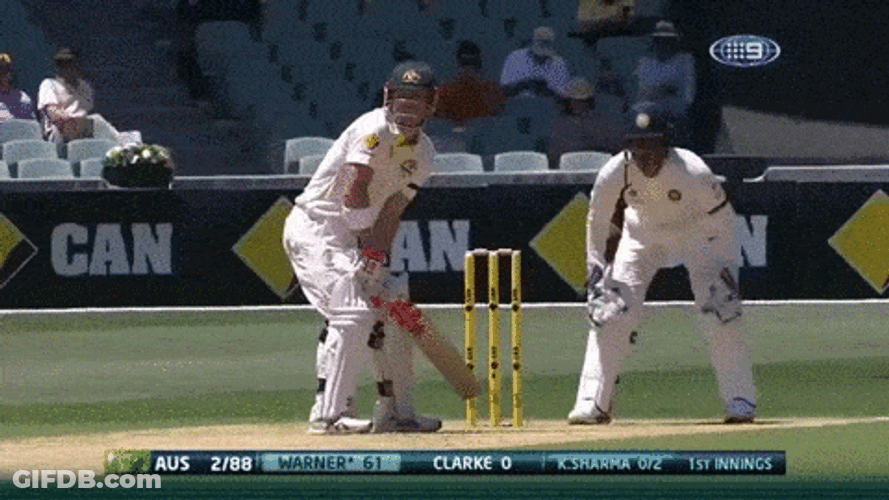 David Warner Cricket Not Out GIF
