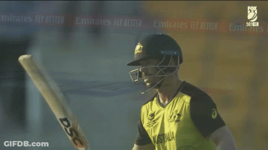 David Warner Cricket Player Bat GIF