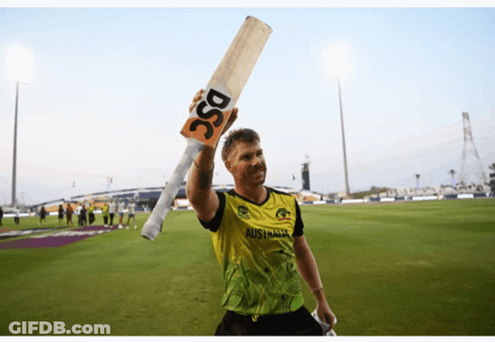 David Warner Cricket Raise Bat GIF
