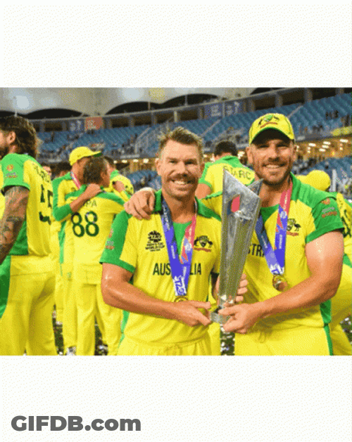 David Warner Cricket Smiling GIF