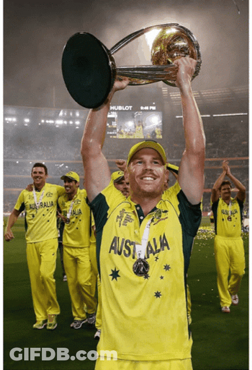 David Warner Cricket Wins GIF
