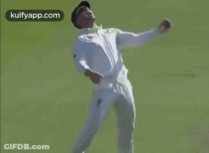 David Warner.Gif GIF