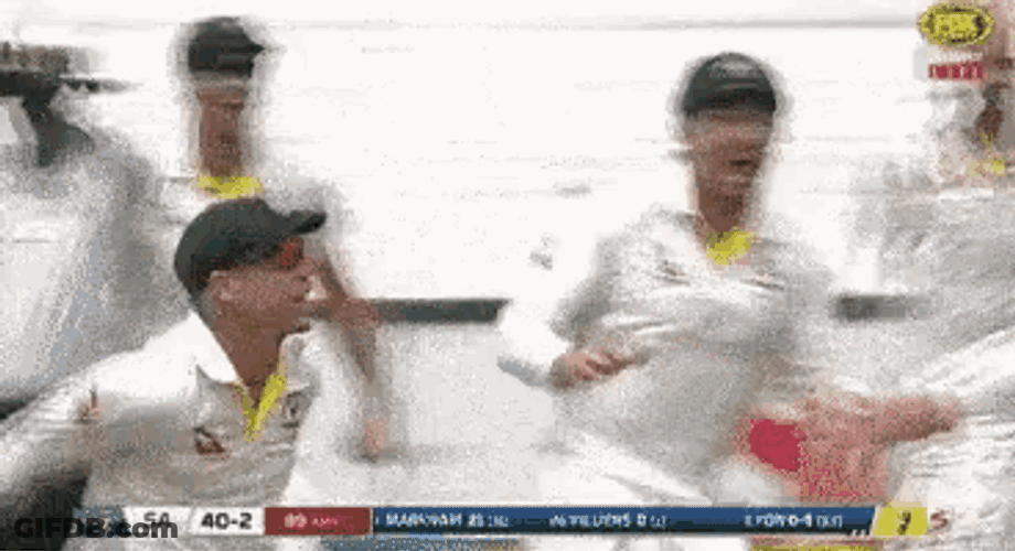 David Warner GIF