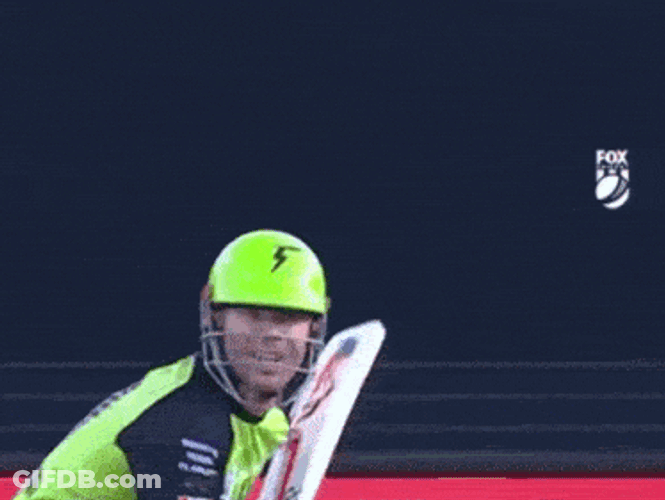 David Warner Hits Self With Bat GIF