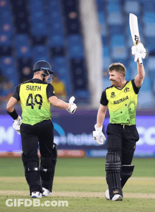 David Warner In Crickets Meme Game GIF