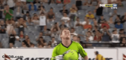 Davidwarner Kingwarnerr GIF