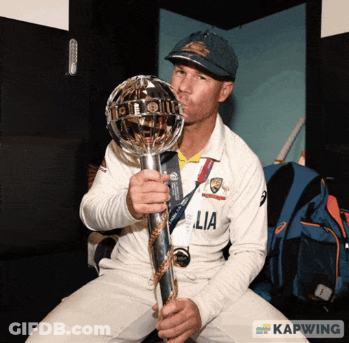 Davidwarner Kingwarnerr GIF