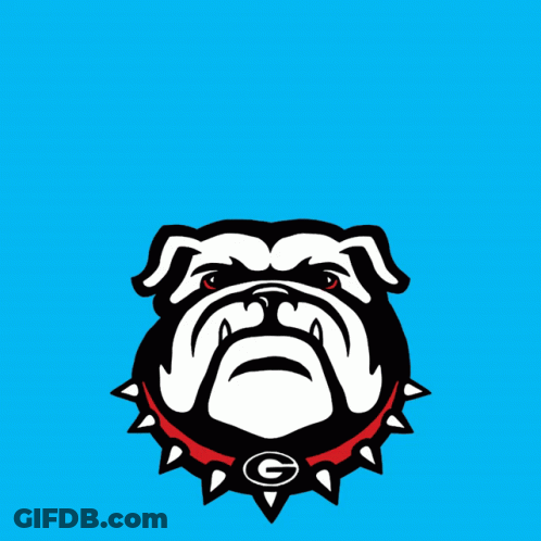 Dawgs For Ossoff Poster GIF