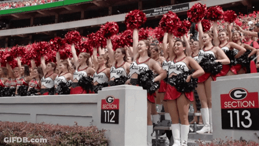Dawgs Georgia Bulldogs Cheerleading Team GIF