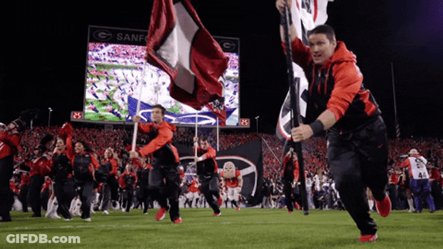 Dawgs Georgia Bulldogs Football Team Running Into Field GIF