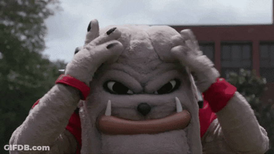 Dawgs Georgia Bulldogs Mascot Jumping GIF
