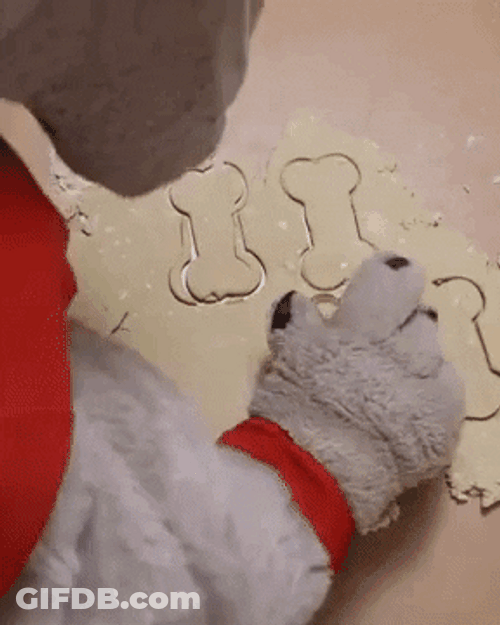 Dawgs Mascot Baking Bone Shaped Cookies GIF