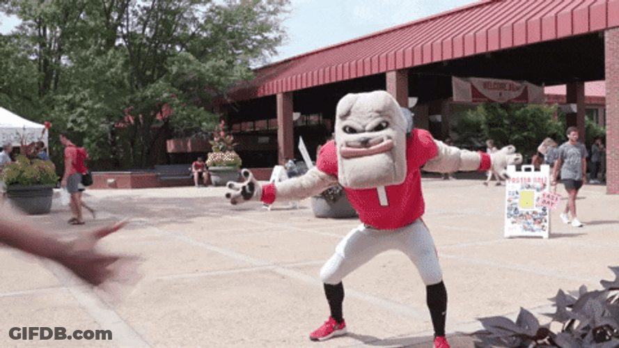 Dawgs Mascot Giving High Fives GIF