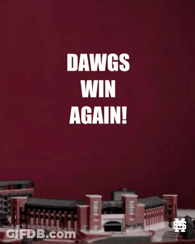 Dawgs Win Again Fireworks GIF