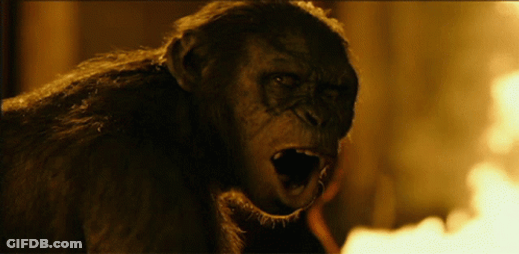 Dawn Planet Of The Apes Angry GIF
