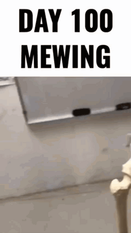 Day 100 Of Mewing Meme GIF