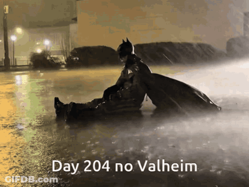 Day 204 No Valheim Is Written On A Poster GIF