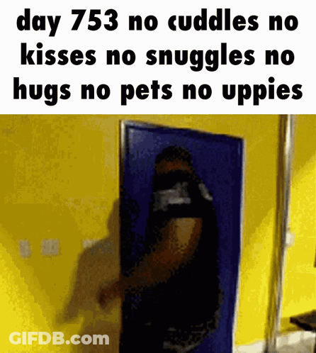 Day 753 No Cuddles Person In Front Of Yellow Wall GIF