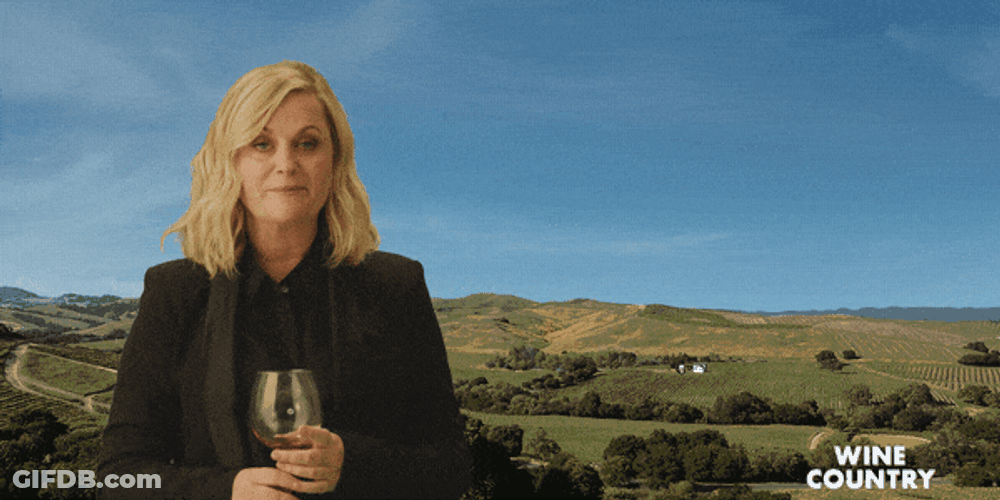 Day Drinking Amy Poehler Wine Country GIF