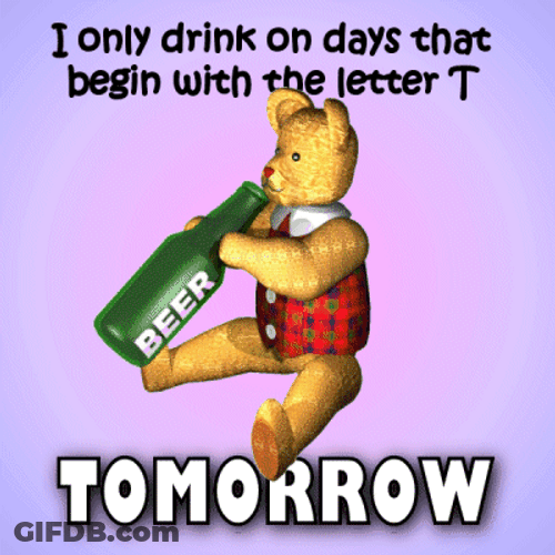 Day Drinking Cartoon Bear Meme GIF