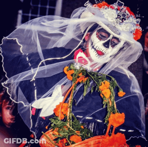 Day Of The Dead Costume Holding Basket Of Flowers GIF