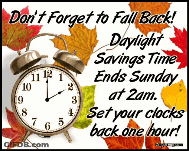 Daylight Savings Time Ends Fall Back GIF