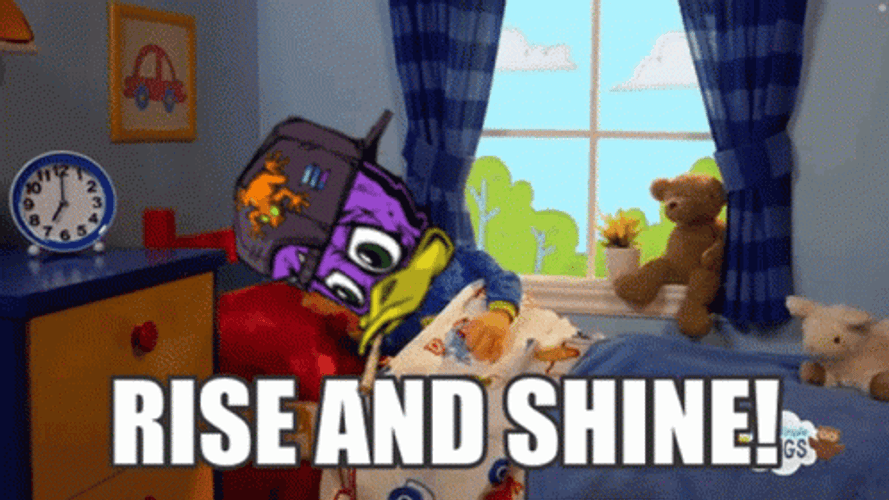 Dazed Ducks Having Hilarious Wednesday GIF