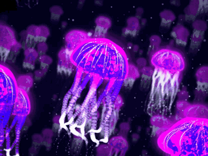Dazzling Purple Jellyfish GIF