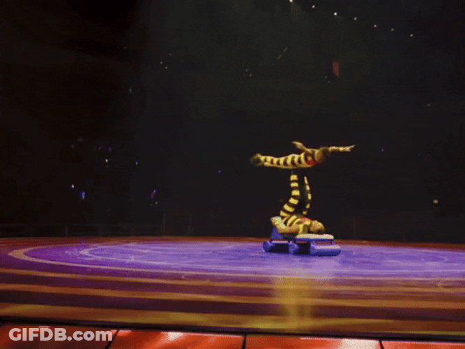Dazzling Ringling Bros Body Spin Circus Stunt GIF
