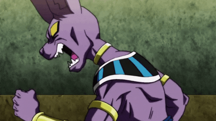 Dbz Angry Beerus GIF