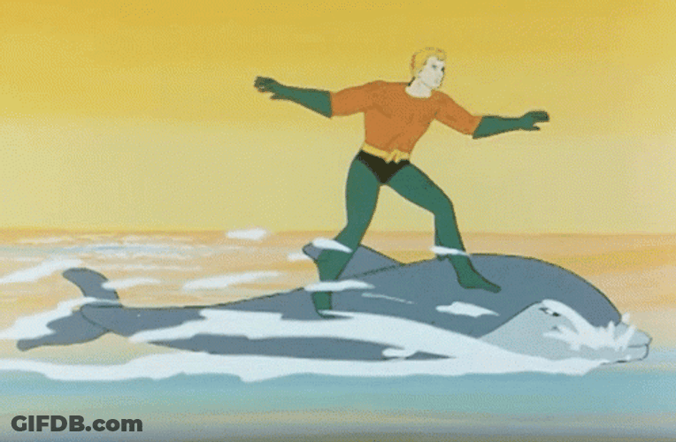 DC Comics Aquaman Arthur Curry Riding Dolphin GIF