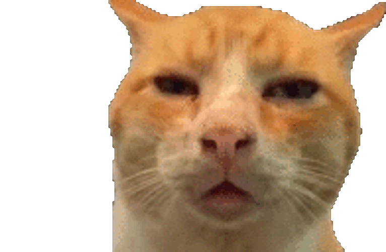 Ddg Huh Sticker GIF