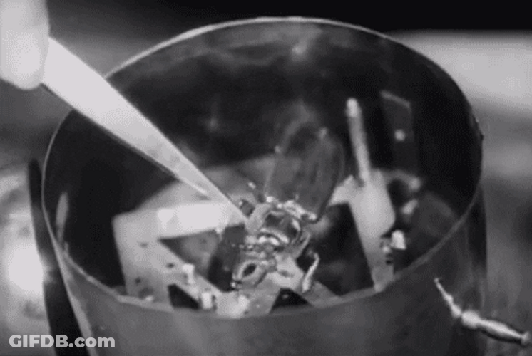 Dead Cockroach Experiment GIF