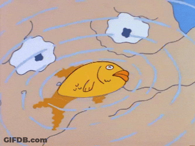 Dead Goldfish With Reflection Of Cartoon Character GIF